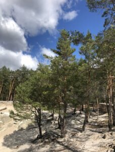 Ferienhaus Harz Ilsenburg Freizeittipps