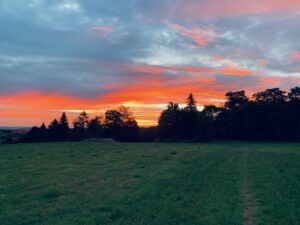 Ferienhaus Harz Ilsenburg Freizeittipps