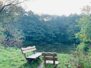 Ferienhaus Harz Ilsenburg Freizeittipps