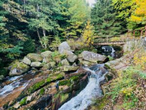 Ferienhaus Harz Ilsenburg Freizeittipps