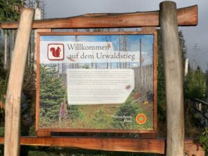 Ferienhaus Harz Ilsenburg Freizeittipps