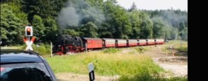 Ferienhaus Harz Ilsenburg Freizeittipps