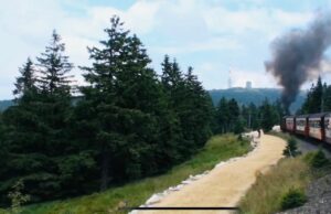 Ferienhaus Harz Ilsenburg Freizeittipps