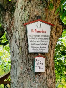 Ferienhaus Harz Ilsenburg Freizeittipps