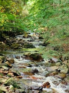 Ferienhaus Harz Ilsenburg Freizeittipps