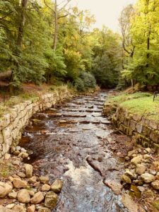 Ferienhaus Harz Ilsenburg Freizeittipps
