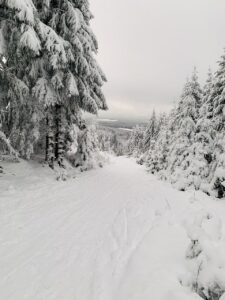 Ferienhaus Harz Ilsenburg Freizeittipps