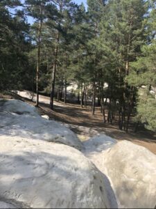Ferienhaus Harz Ilsenburg Freizeittipps